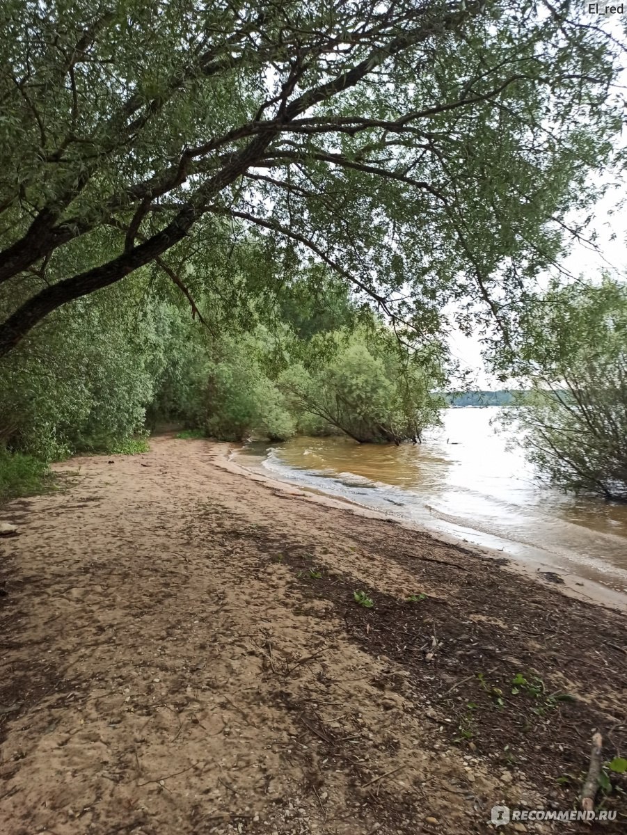 Россия, Московская область, Можайский район, Можайское водохранилище -  «Отдых выходного дня - хочешь дикий, хочешь цивилизованный - обзорка» |  отзывы