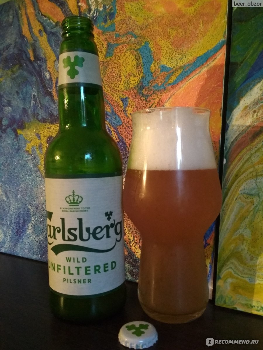 Пиво Carlsberg Wild Unfiltered Pilsner фото