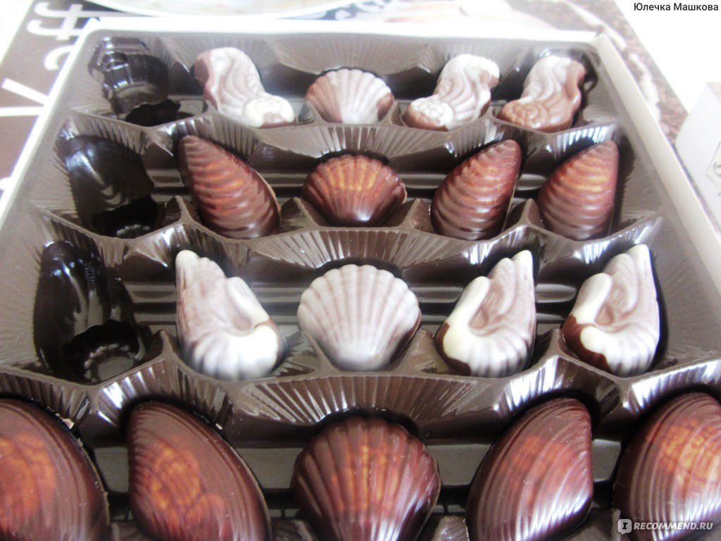 Belgian Seashells