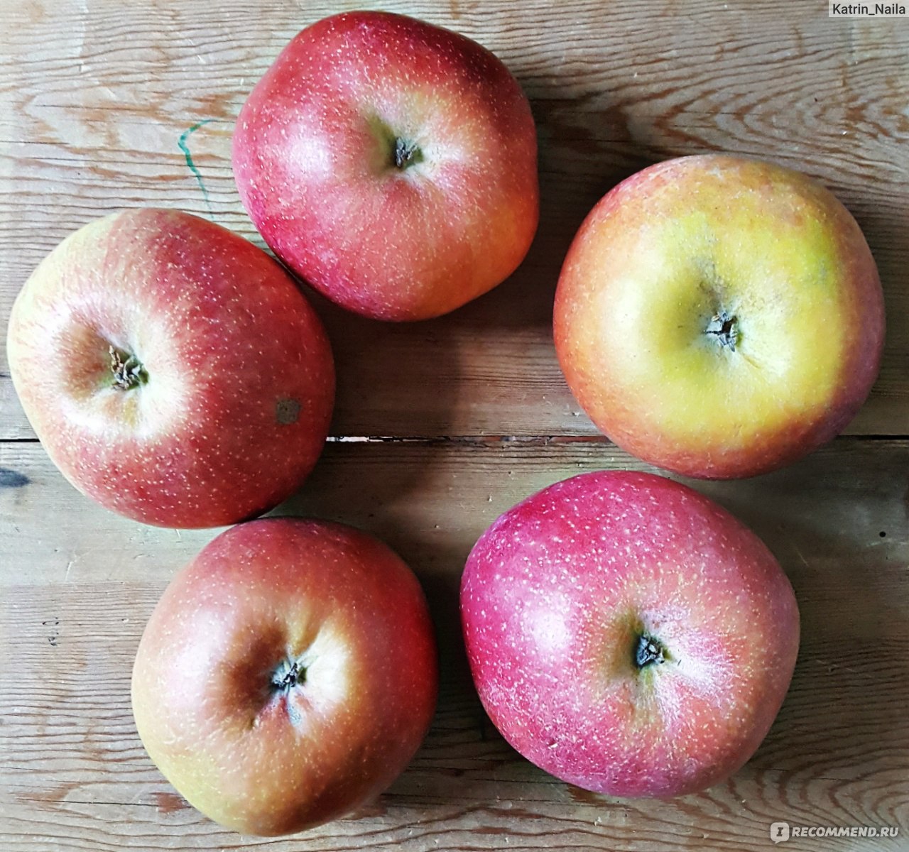 Яблоки Fuji Фуджи - «Самые вкусные яблоки ФУДЖИ. Медовая сладость груши и  экзотическая кислинка киви во вкусе. РЕЦЕПТ: полезный, яблочный десерт.» |  отзывы
