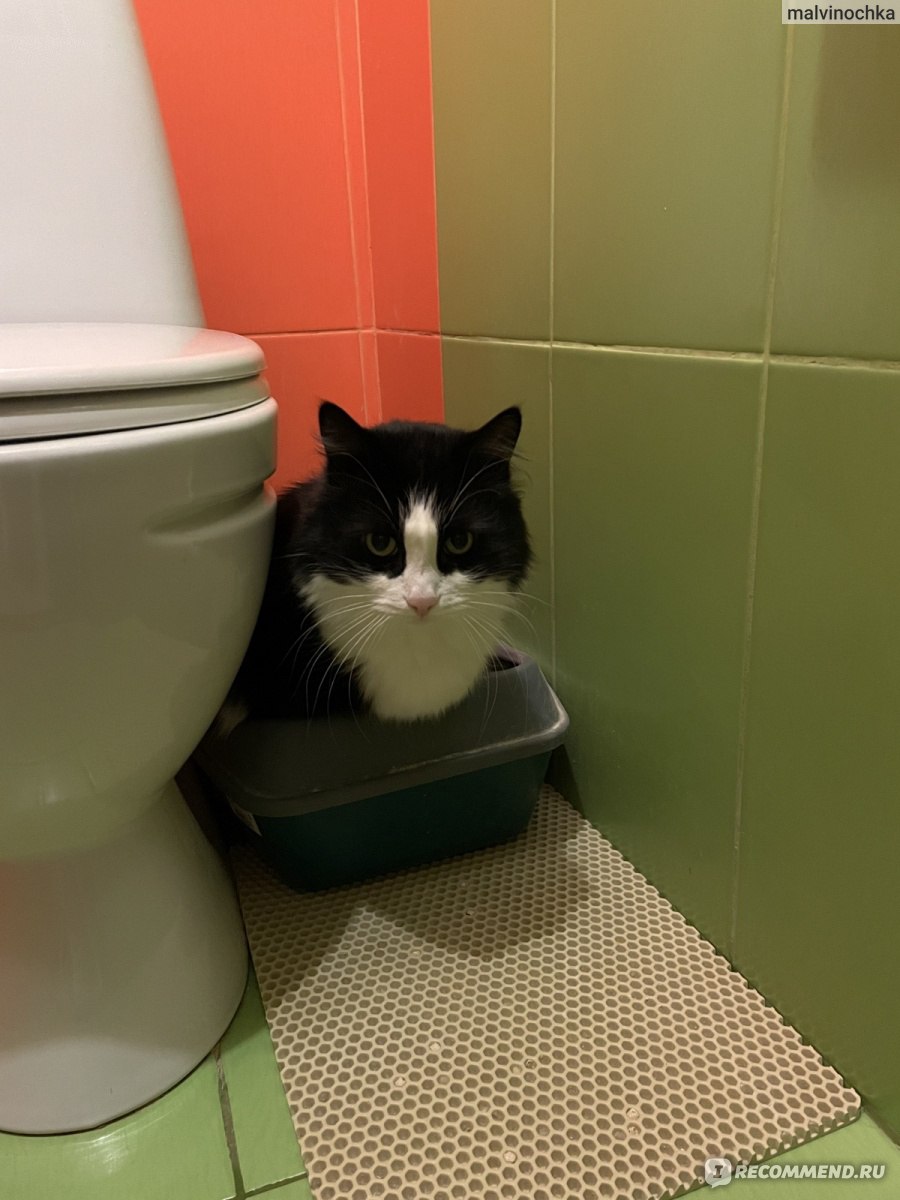 Наполнитель для кошачьего туалета Си Си Кэт Древесный фото