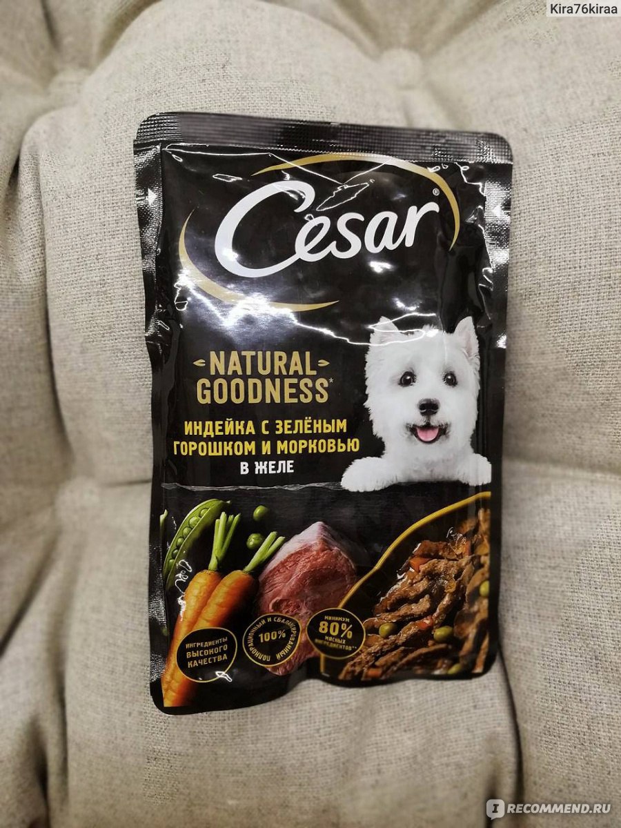 Консервированный корм для собак мелких пород Cesar - «Собачка ест и ...