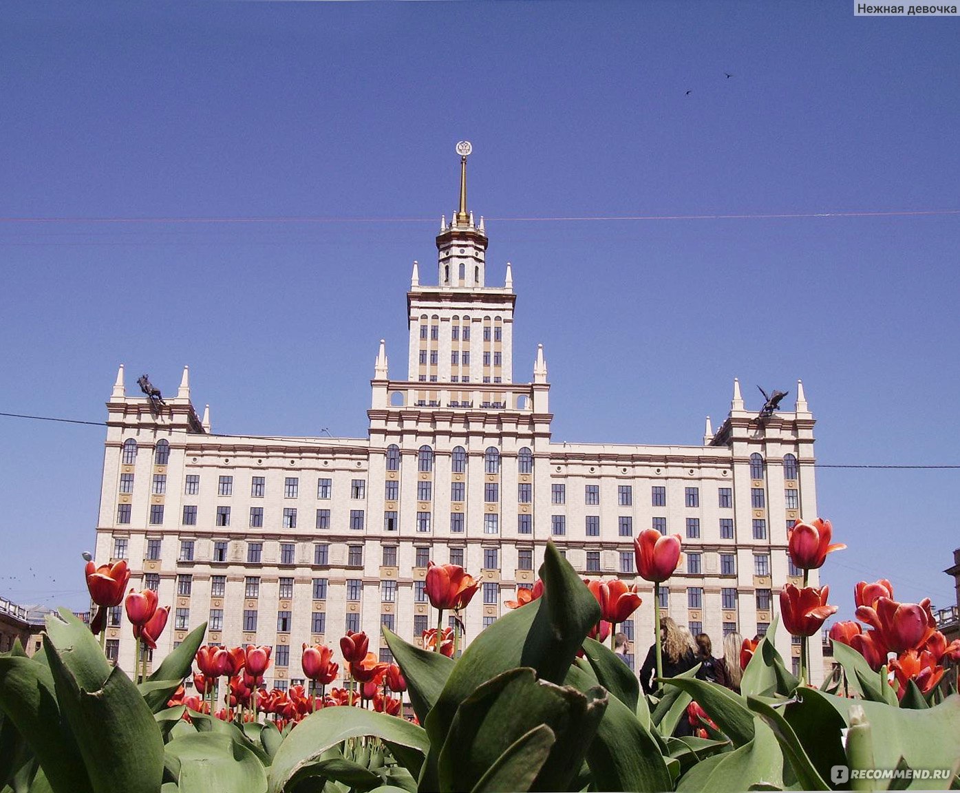 Южно уральский государственный университет фото