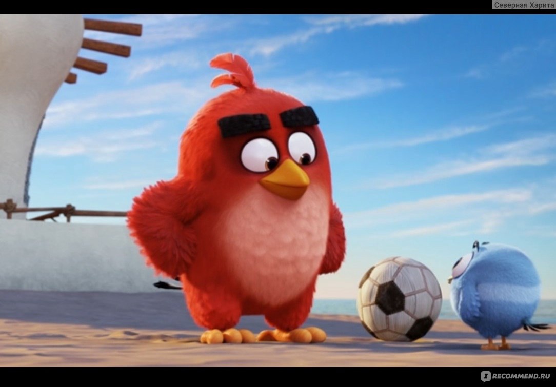 Angry Birds в кино - «Наконец-то, посмотрела мультфильм про знаменитых  птичек Angry Birds. Все понравилось кроме одного нюанса, которого мне все  чаще не хватает в мультфильмах» | отзывы