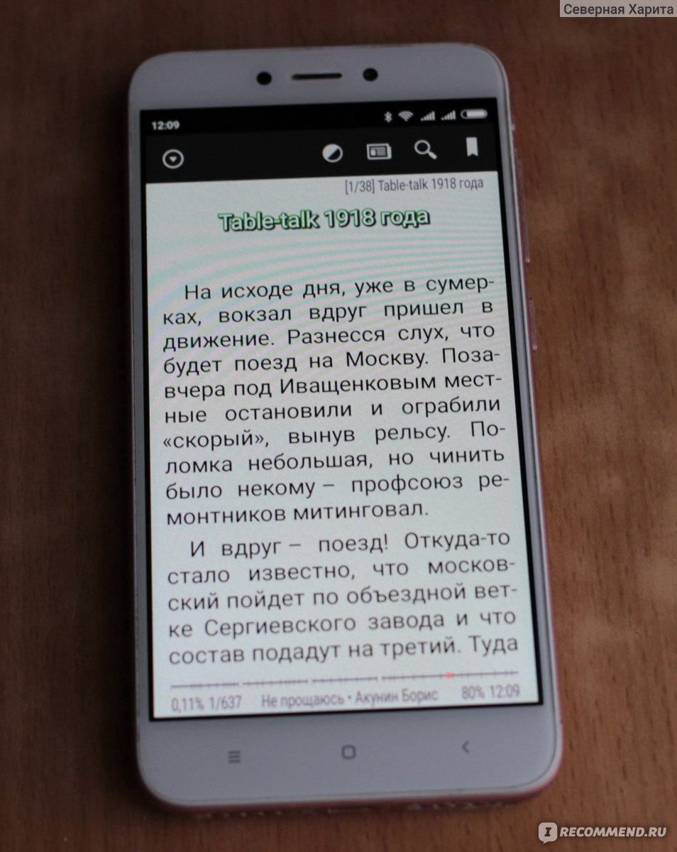 Не прощаюсь. Борис Акунин - «Не прощаюсь, отзыв разочарованной поклонницы  Эраста Фандорина» | отзывы