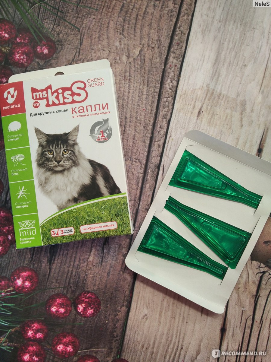 Капли репеллентные Ms.KISS Green Guard для крупных кошек - «Производитель  как всегда обещает все на свете - шелковистую шерсть, снижение раздражения,  отпугивание насекомых, луну с неба...» | отзывы