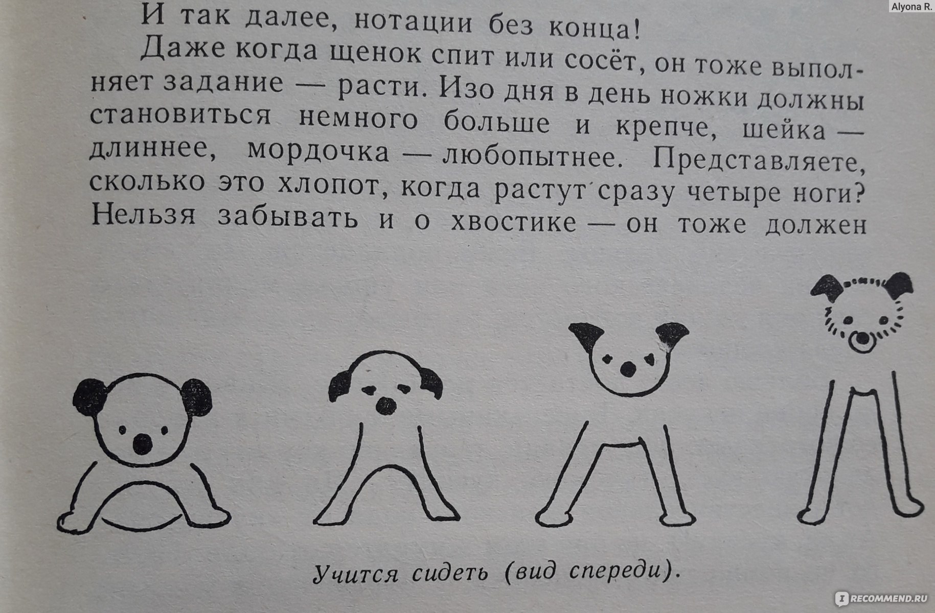 Сказки и веселые истории. Карел Чапек - «?Сказки от великого чешского  писателя, которые интересно и весело читать и детям и взрослым? Настоящее  литературное богатство, которое, увы, редко переиздается ?» | отзывы