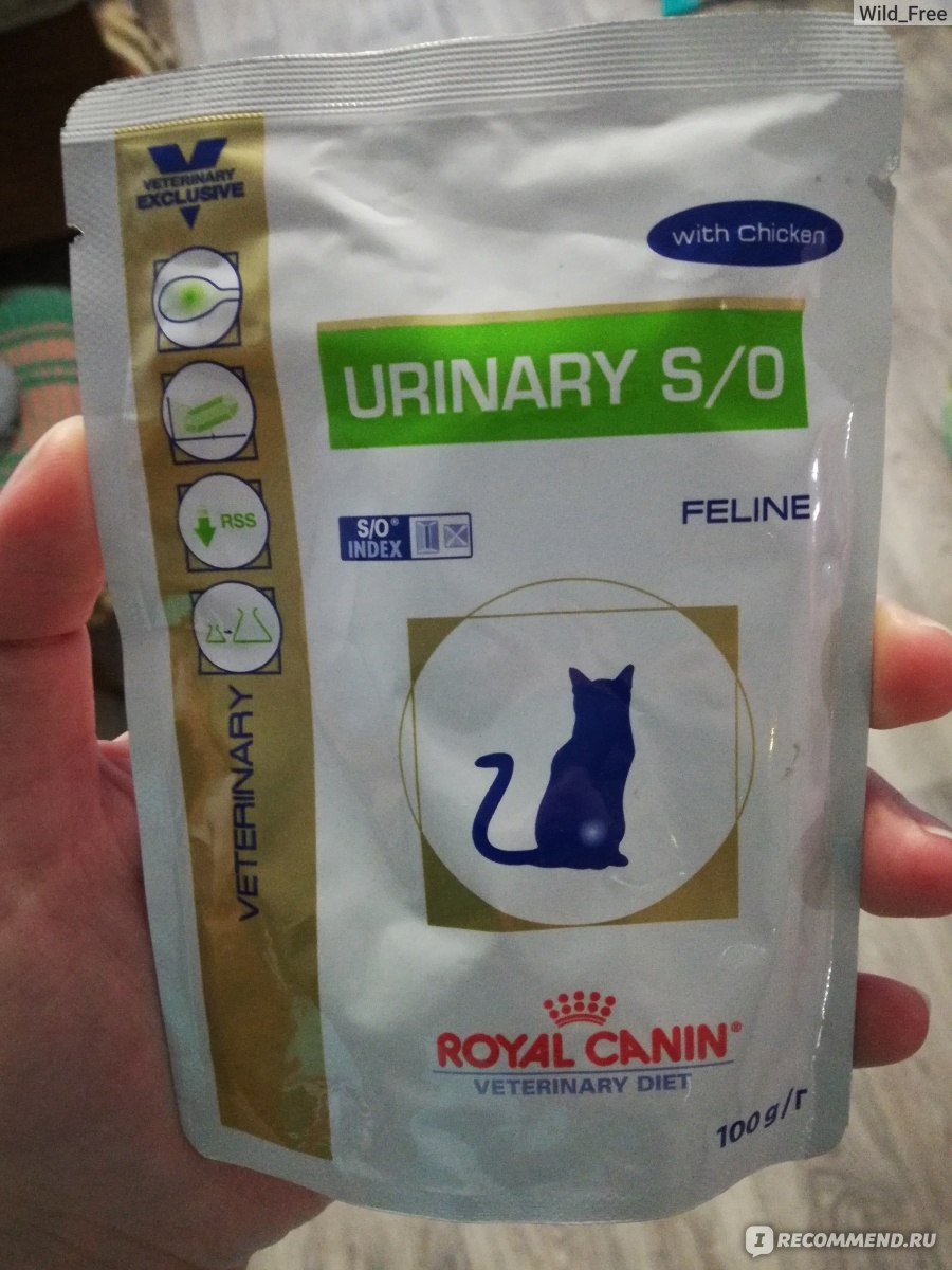 Корм royal canin urinary s o. Роял Канин Уринари s/o. Royal Canin Urinary s/o для кошек. Роял Канин Уринари профилактика. Роял Канин Уринари для профилактики мкб.