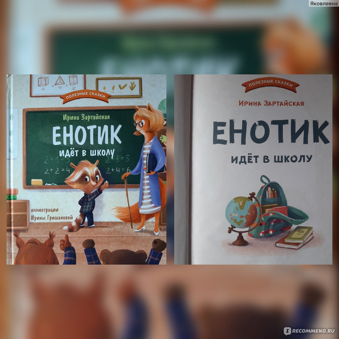 Енотик идёт в школу