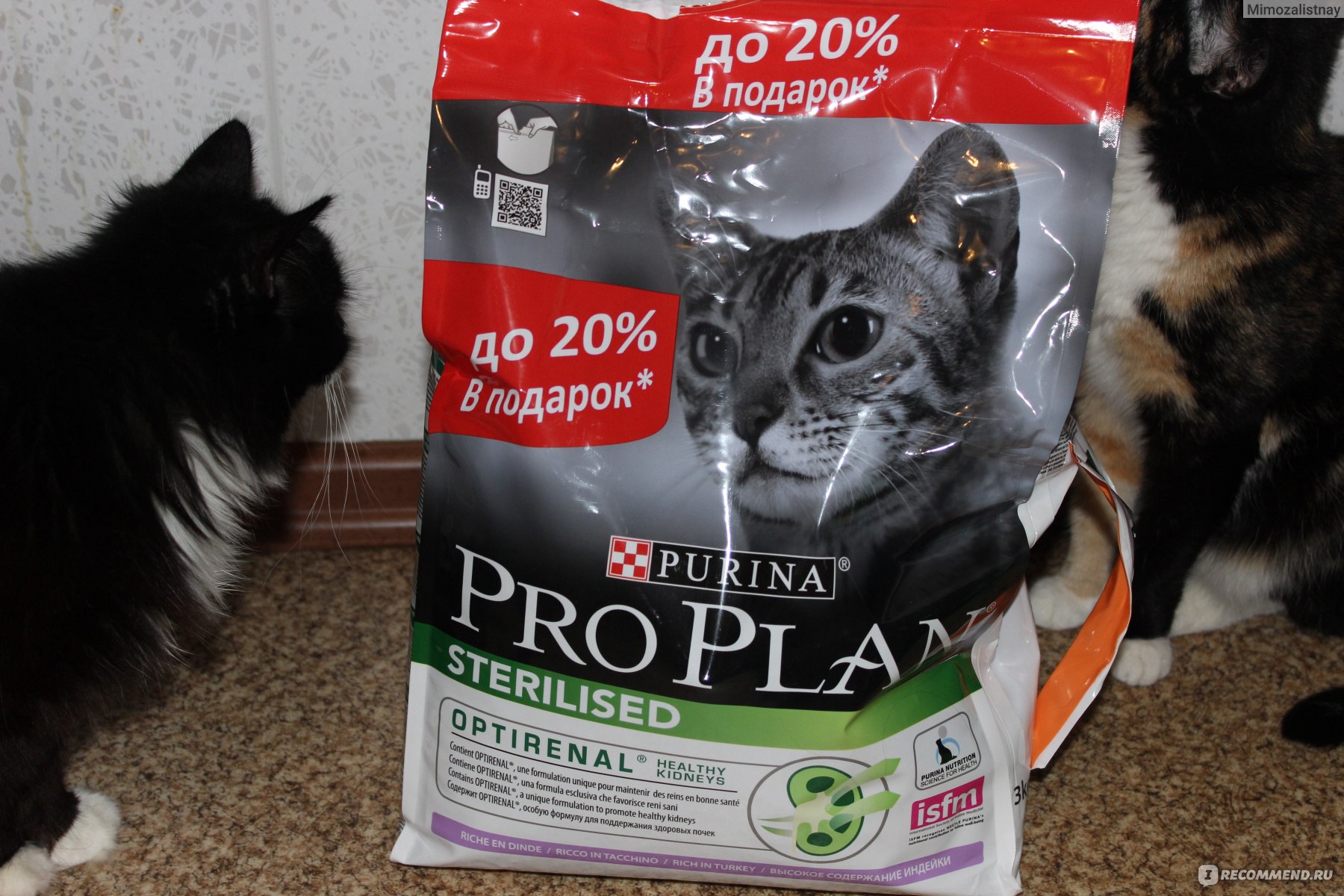 Корм для кошек Purina Pro Plan Sterilised - «Хороший, вкусный корм, даже  слишком вкусный! Настолько, что из достоинства это превращается в  недостаток и возникают вопросы к составу» | отзывы