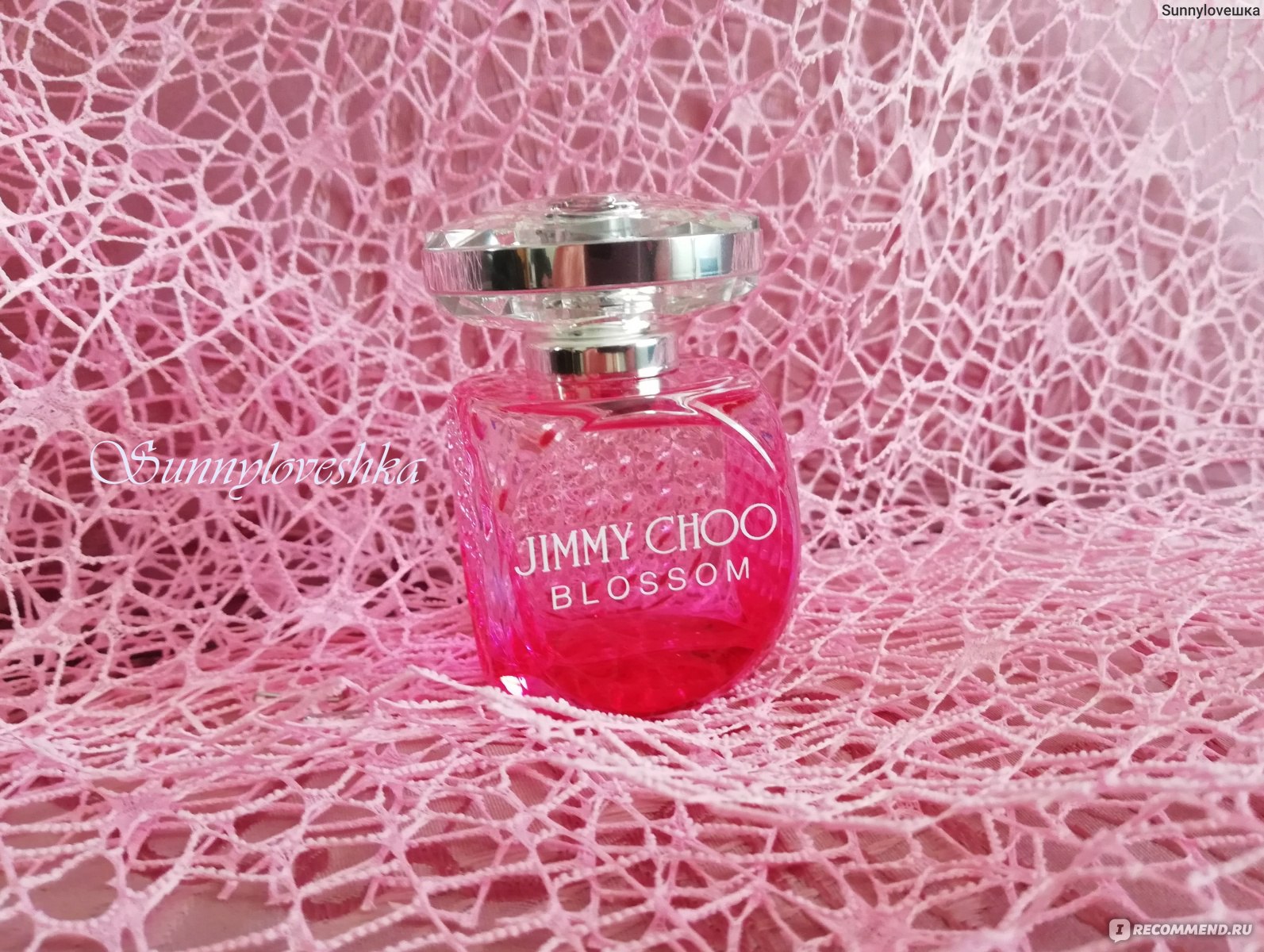 Духи jimmy choo blossom. Джимми Чу блоссом. Джимми Чу Blossom. Джимми Чу малина. Parf uk m Jimmy Choo Blossom.