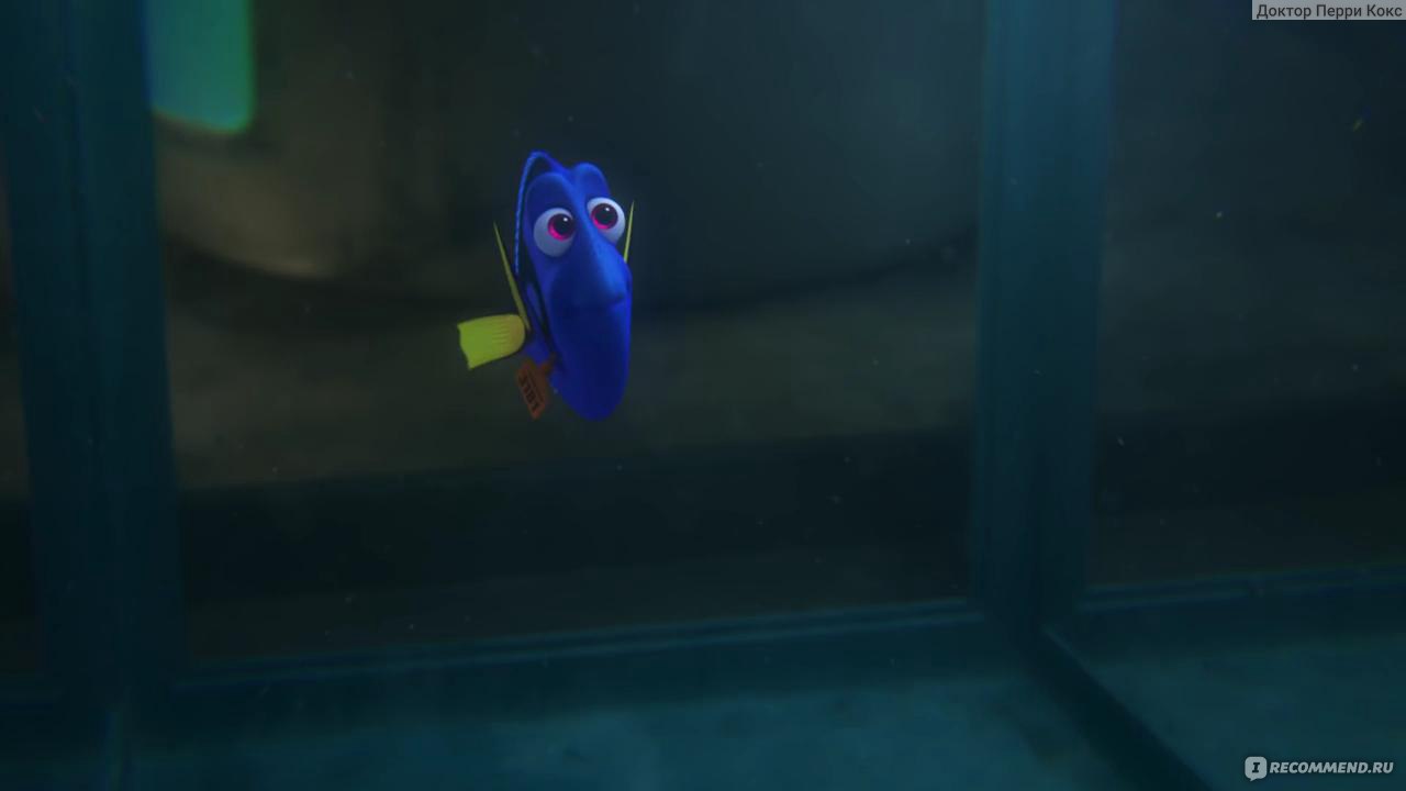 В поисках Дори / Finding Dory фото