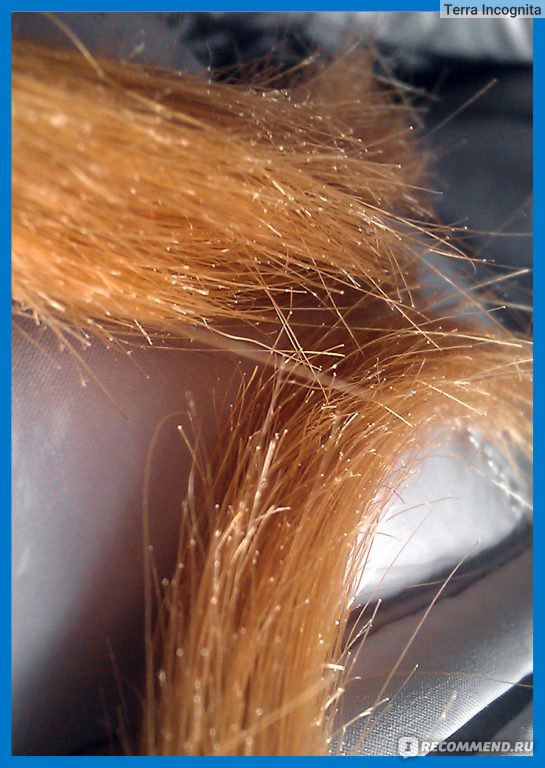 Восстановление секущихся волос. Посеченные кончики волос. Секущиеся волосы. Секущиеся кончики волос. Восстановление секущихся кончиков.