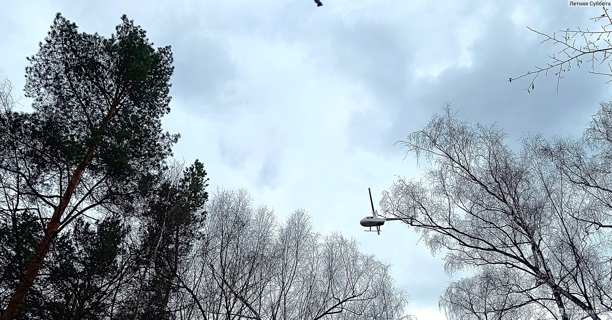 Вертолет кружит над лесом
