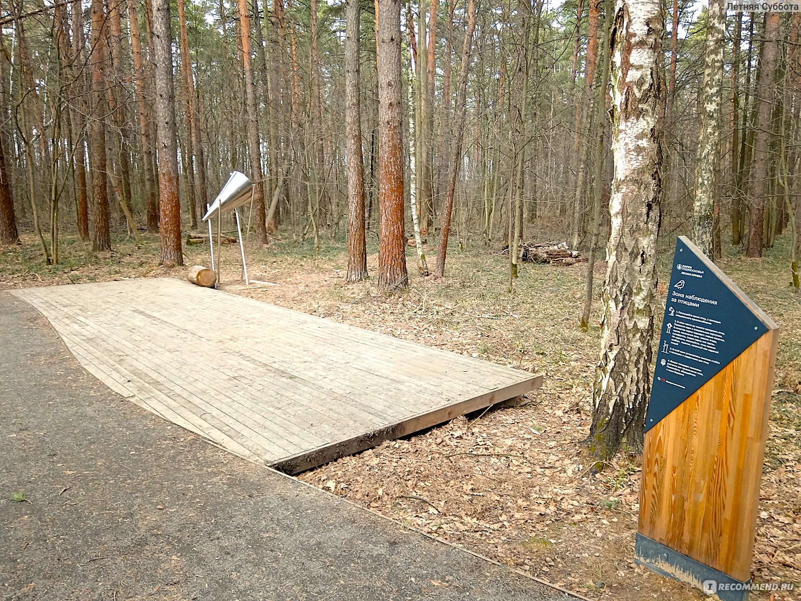 Место наблюдения за птицами