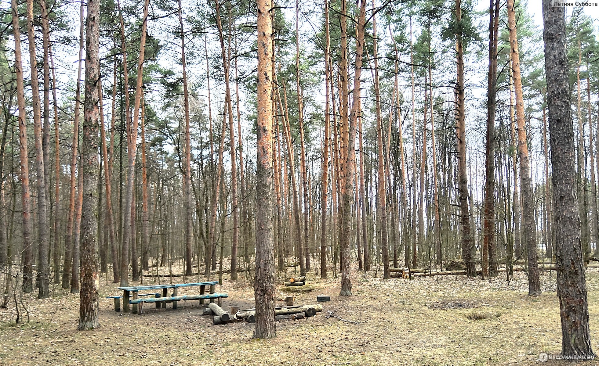 лесные полянки