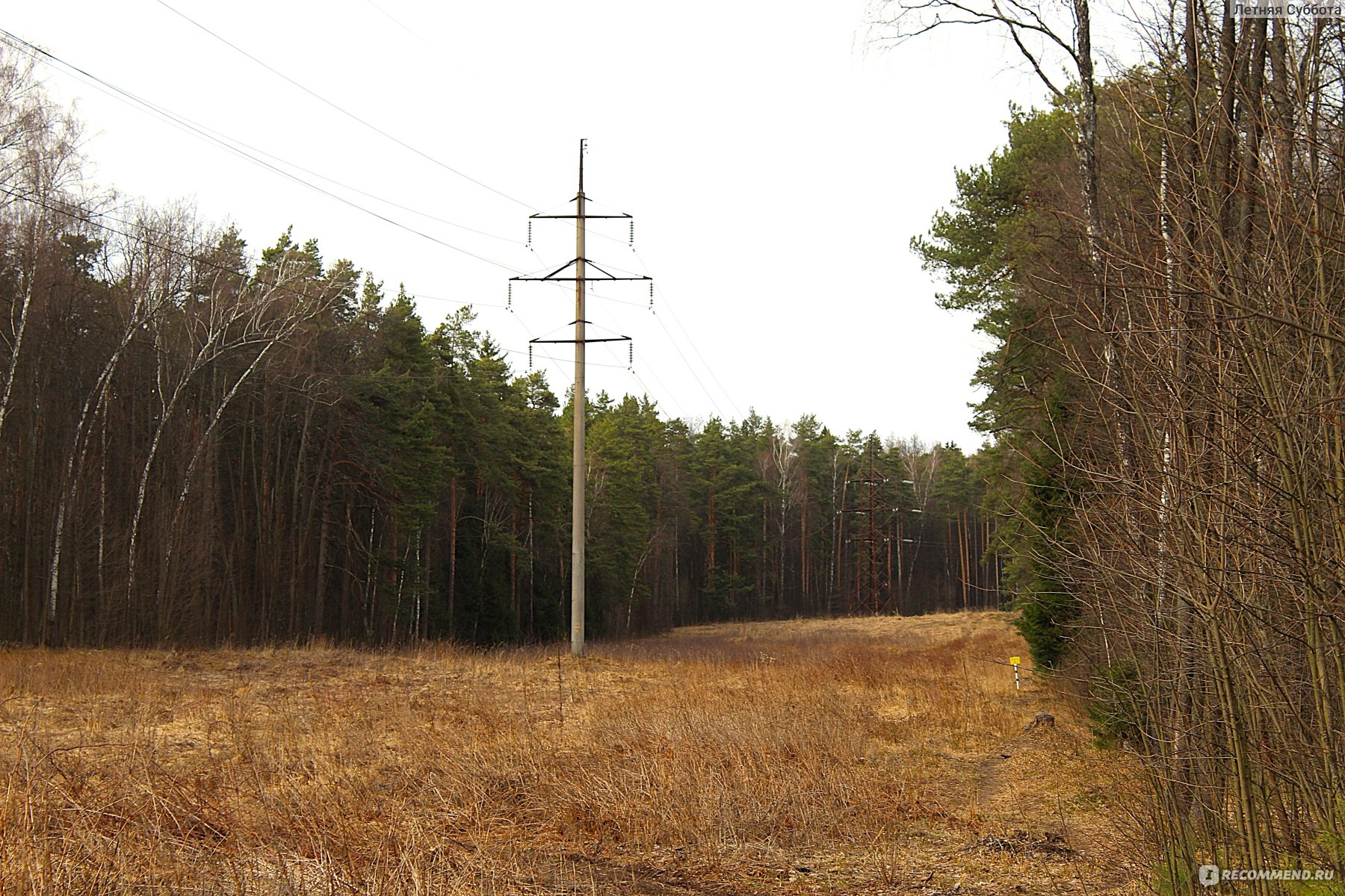 Тропинка вдоль ЛЭП