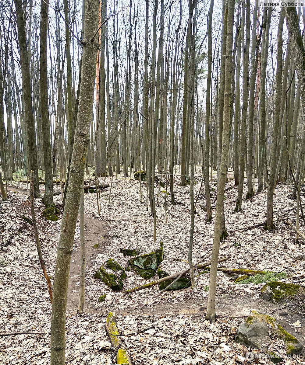 извилистые тропинки