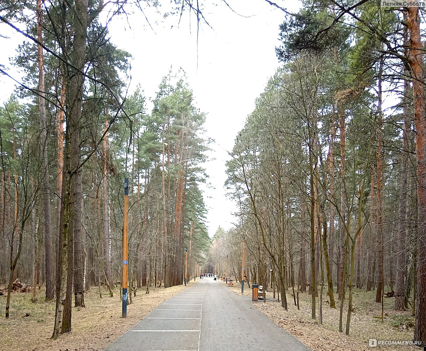 Уютные дорожки парка