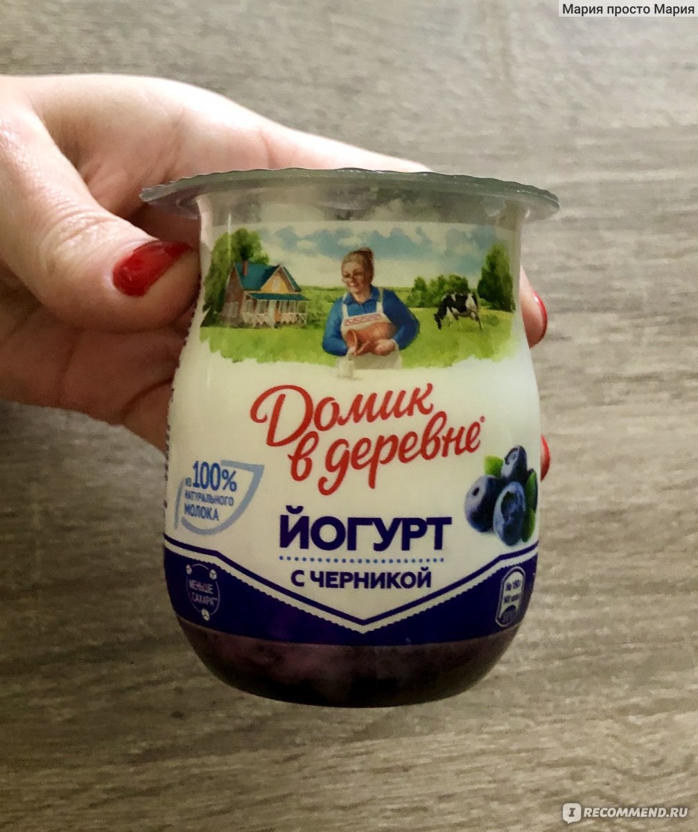 Йогурт Домик в деревне Термостатный с черникой