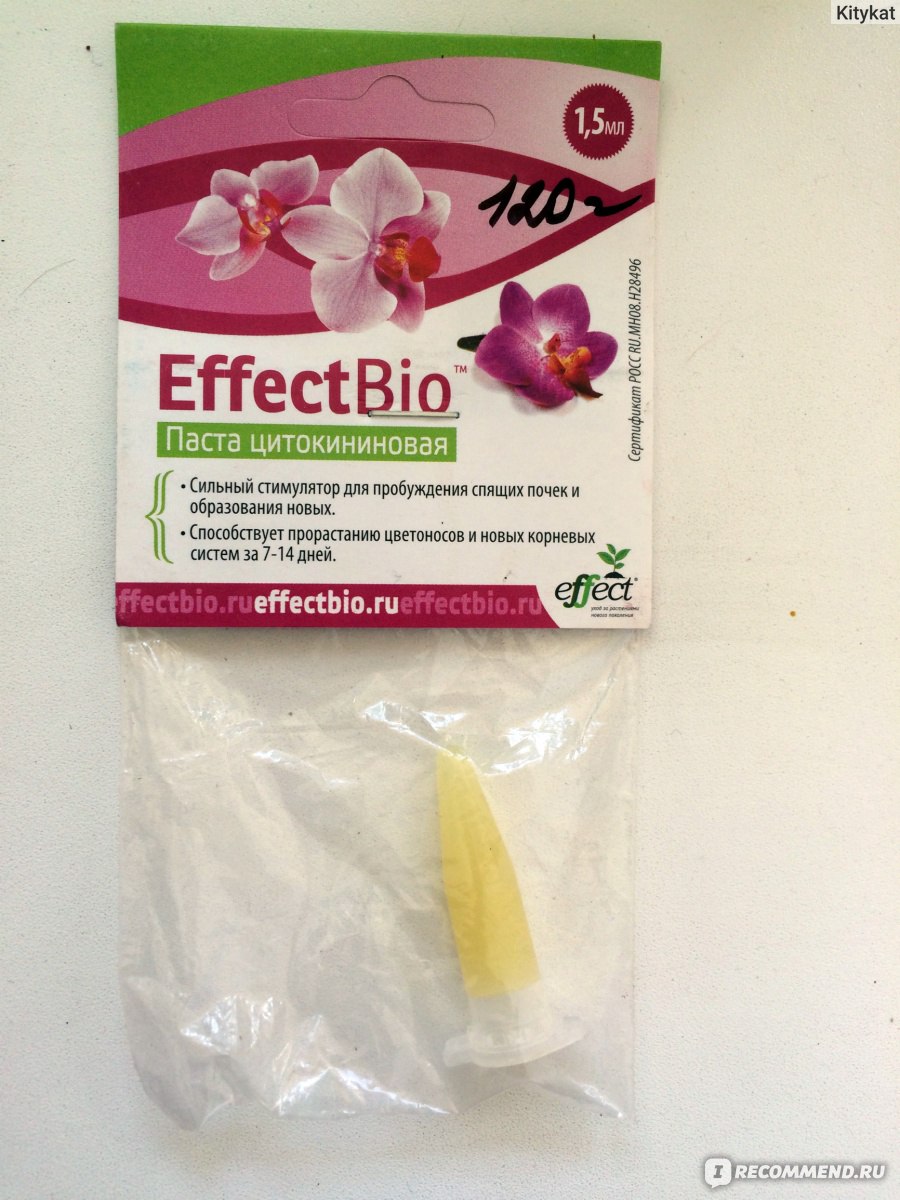 Цитокининовая паста для орхидей: хирургическое вмешательство цветовода
