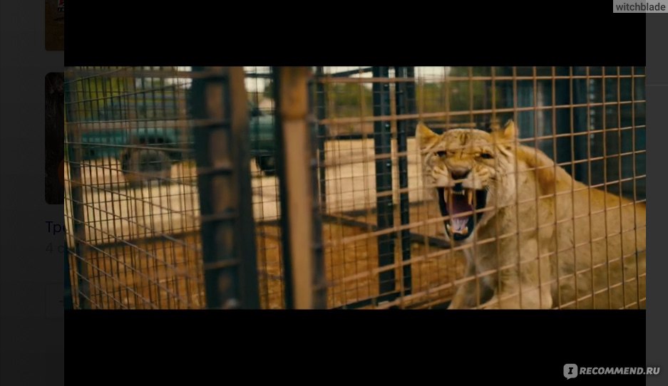 Львица (2020, фильм) фото