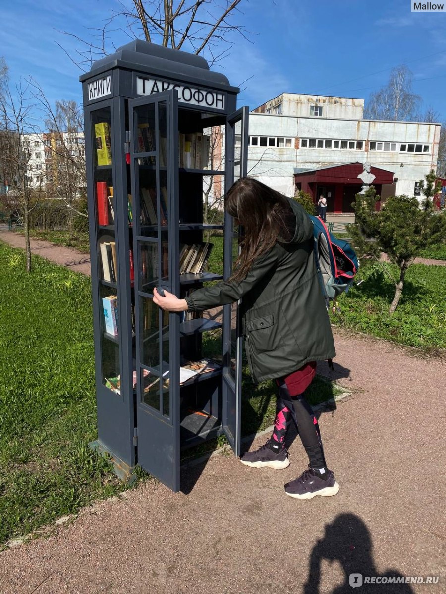 Оредежская тропа, Ленинградская область, Россия - «В поисках обнажения  девоны или назад в прошлое. Экомаршрут уровня Pro - суровая, но необычайно  живописная тропа на юге Ленобласти.» | отзывы