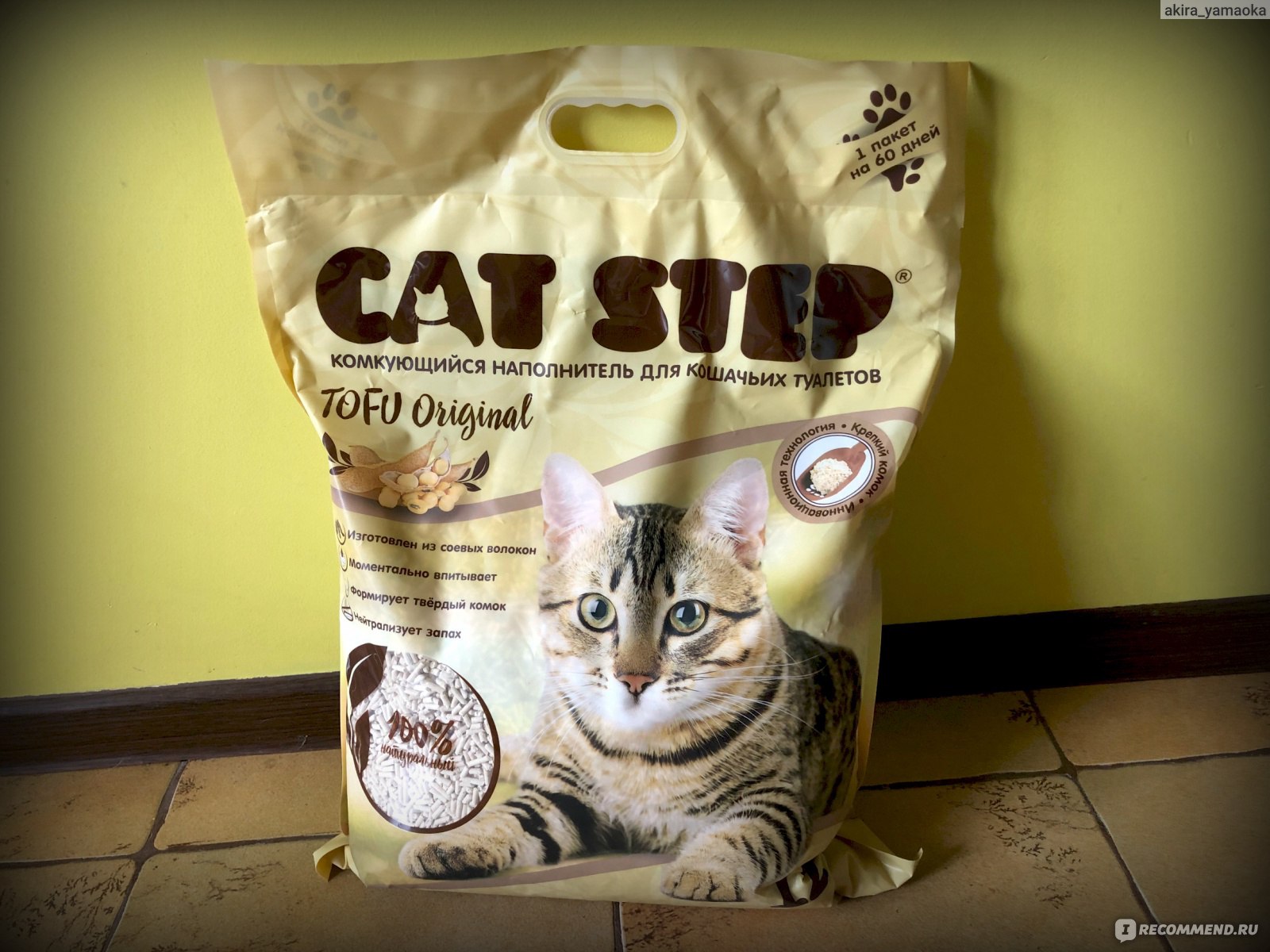 Кот ест туалетный наполнитель — как найти причину и отучить