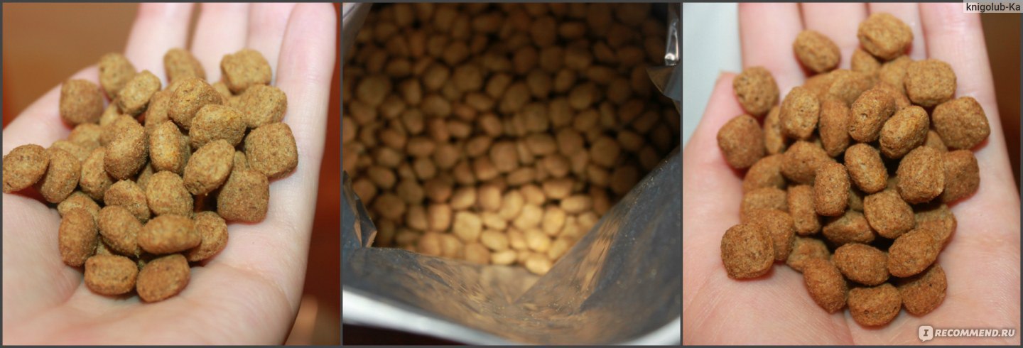 Корм для собак Royal Canin Gastro Intestinal Low Fat LF22 - «ОБНОВЛЕНИЕ ...