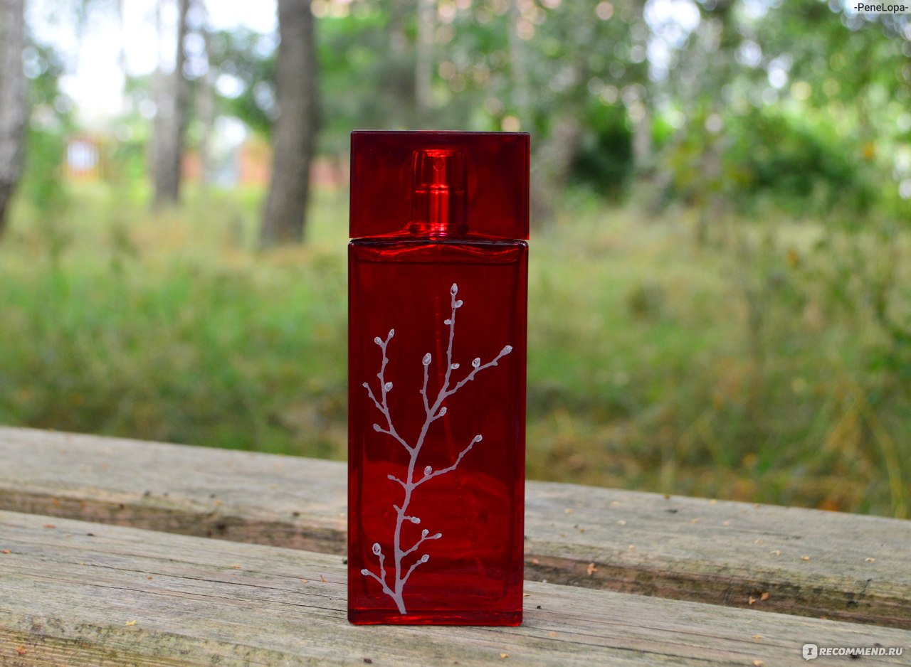 Armand Basi In Red Eau de Parfum фото