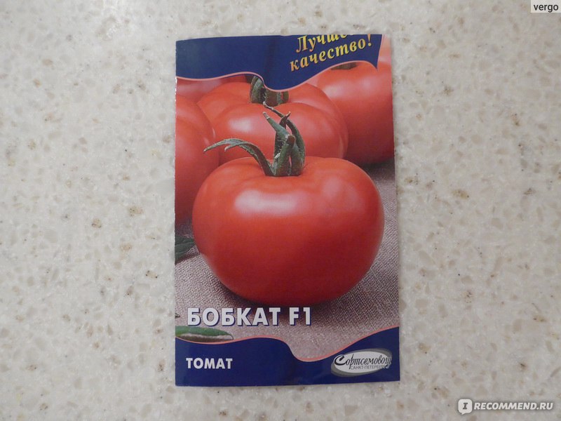 Томат Бобкат F1: описание сорта, выращивание, отзывы и фото гибрида