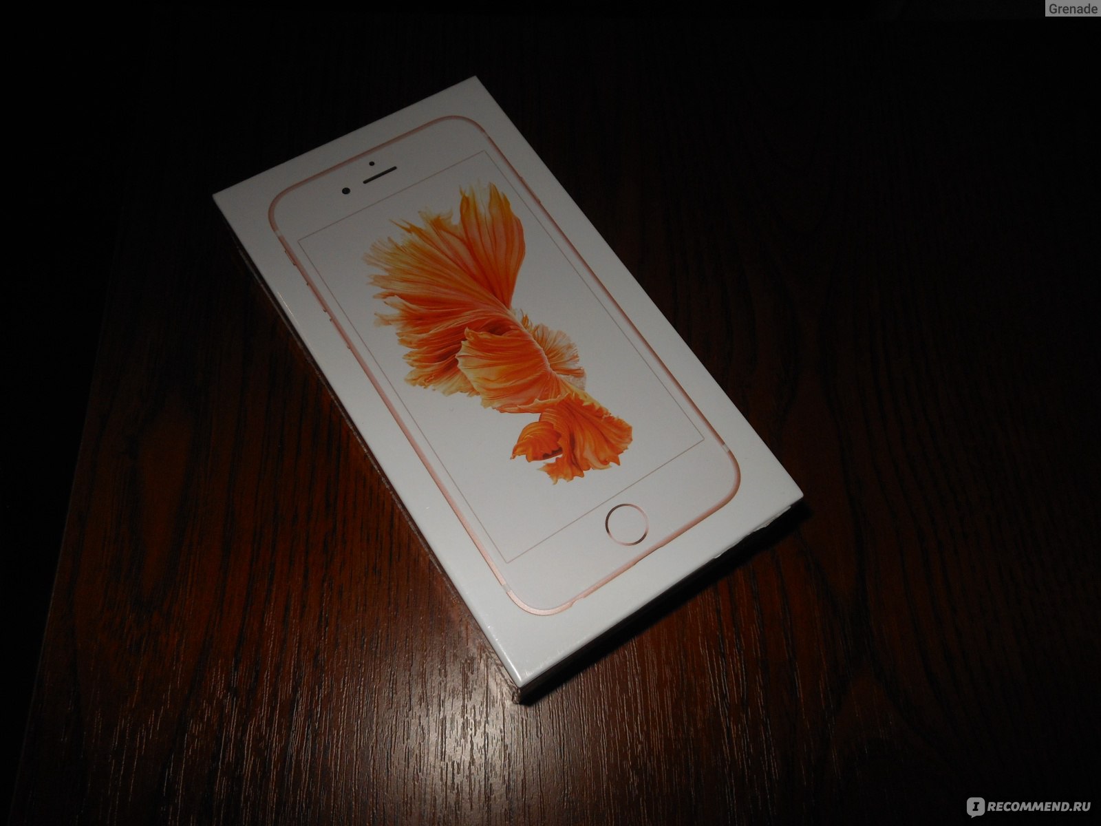 apple 6 rose