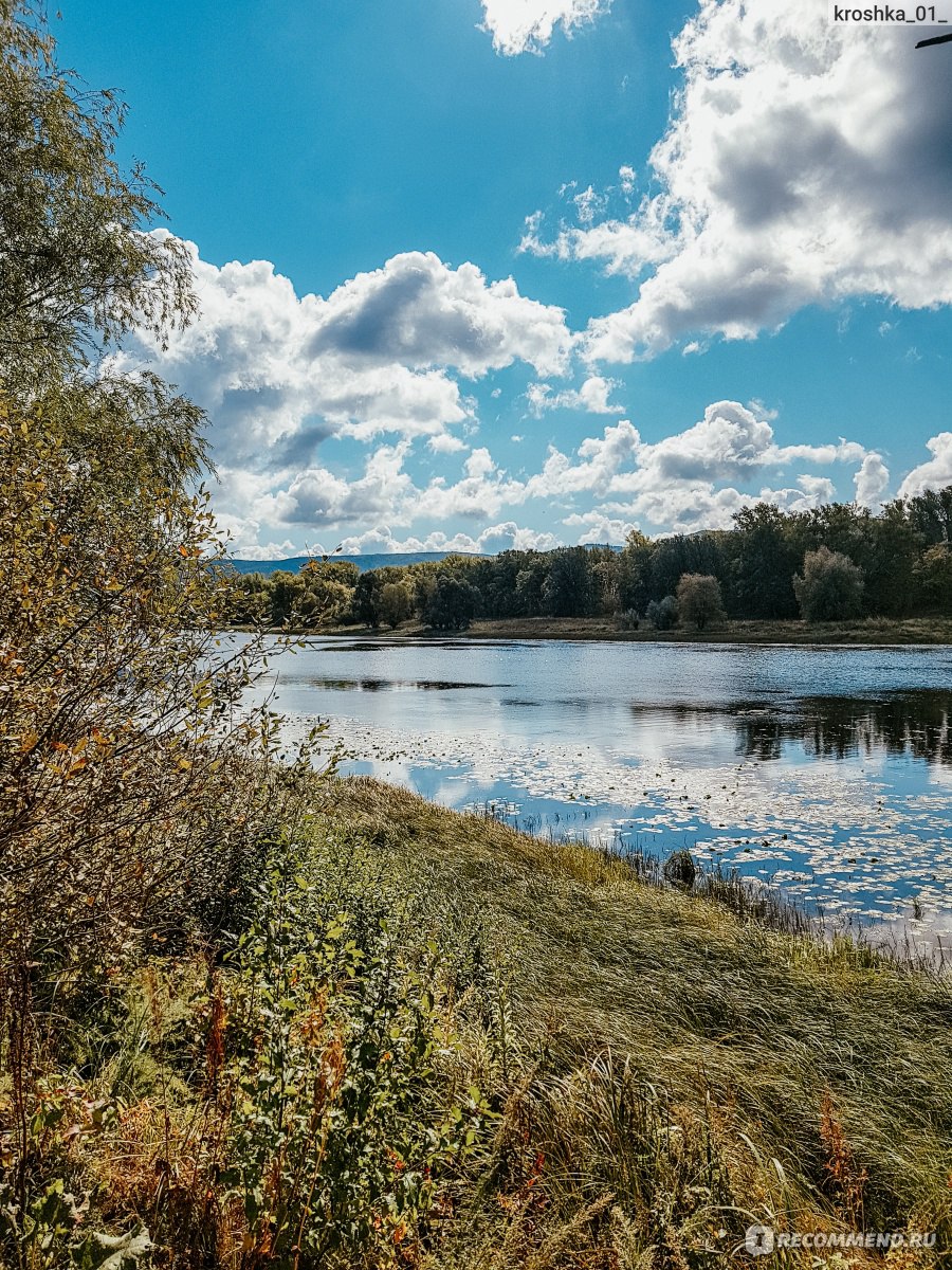 Кемпинг пискалы