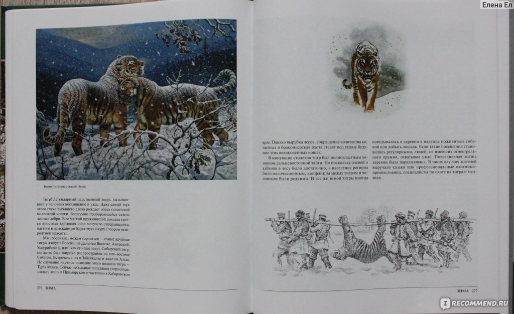 Рисуем и играем горбатова