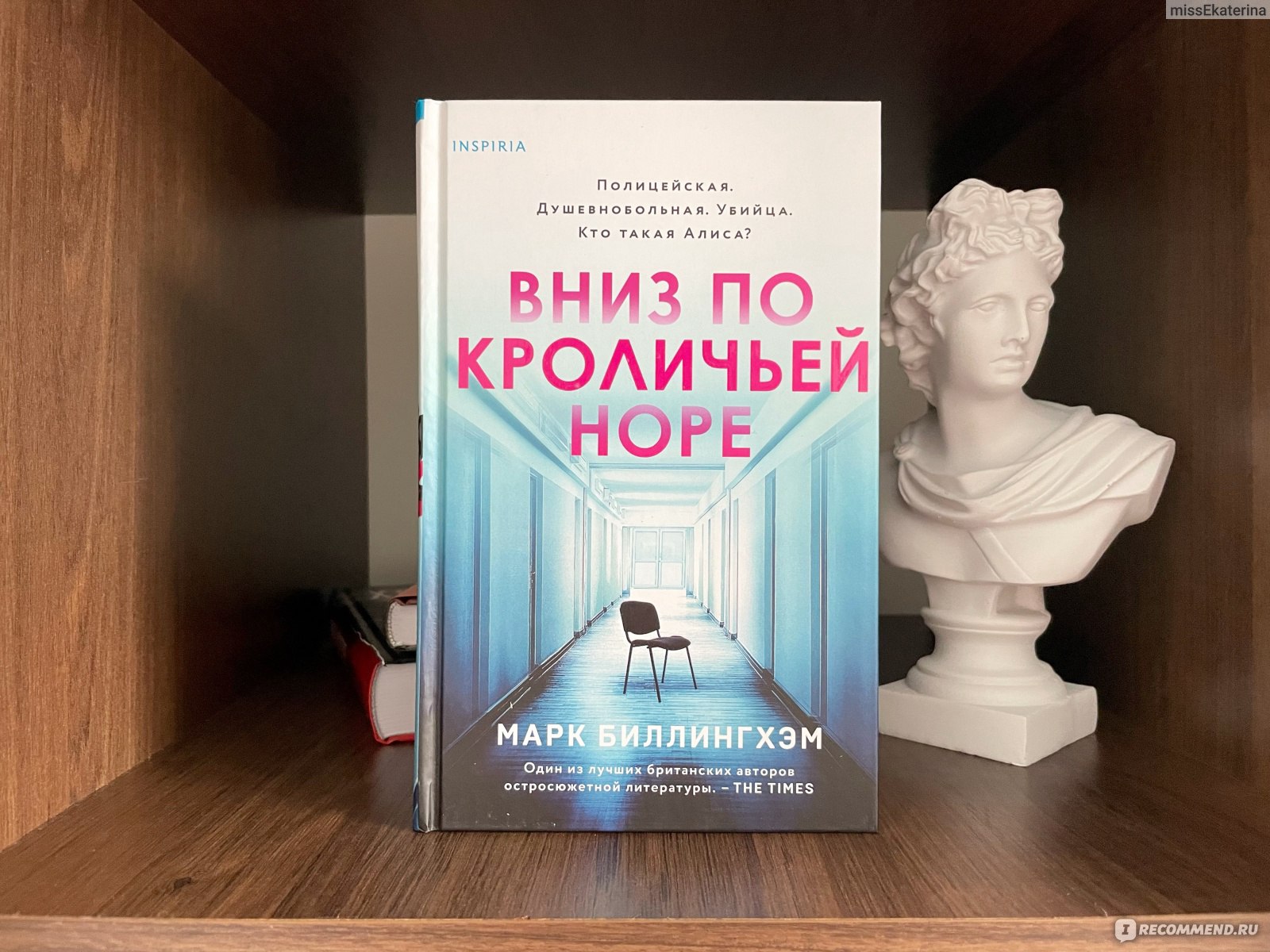 Вниз по кроличьей норе. Марк Биллингхэм - «Вниз по кроличьей норе  «скатилась на дно» главная героиня, без всякой надежды на возвращение.» |  отзывы