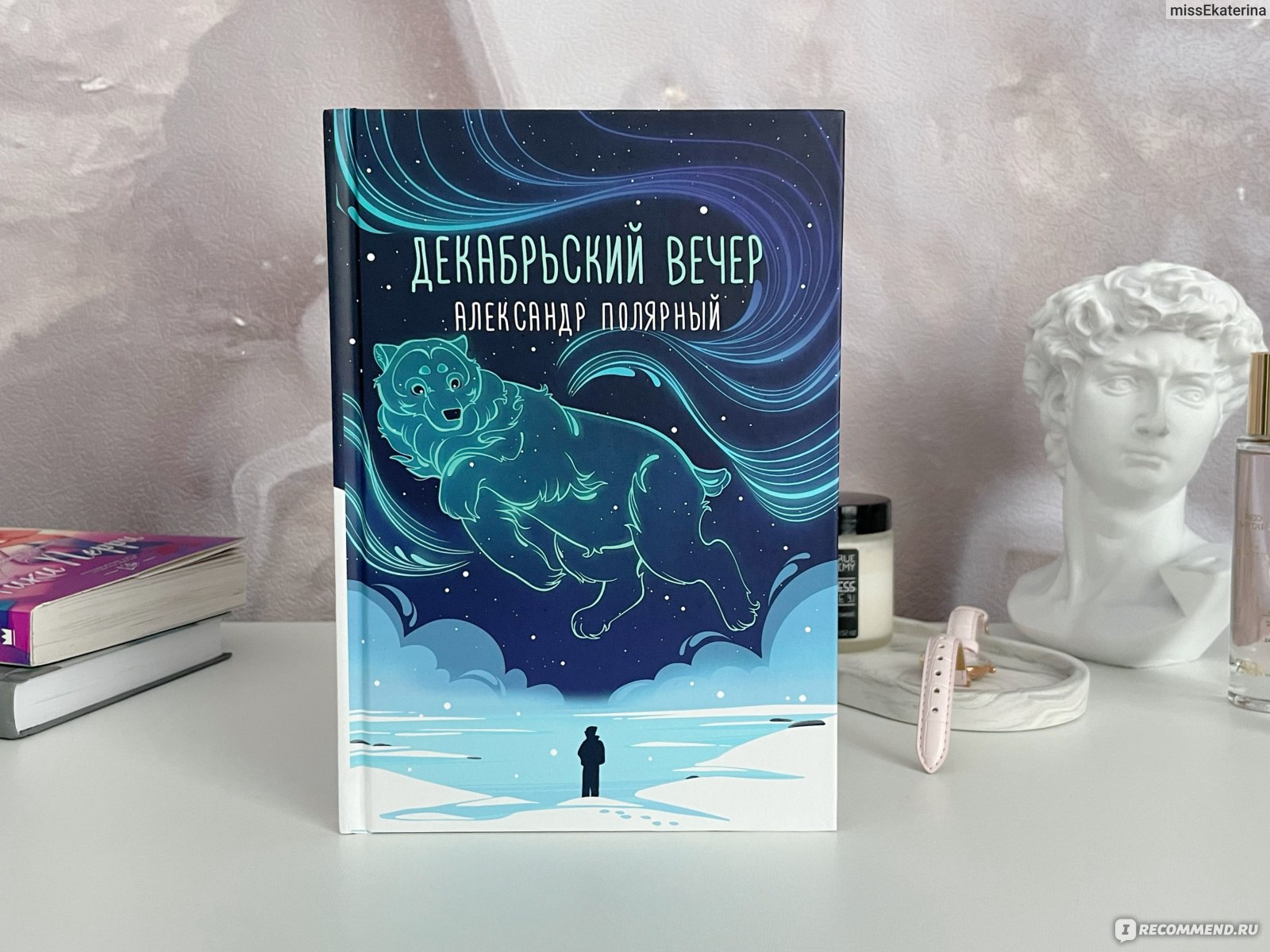 Декабрьский вечер. Александр Полярный - «История одного декабрьского вечера  и 11-летнего мальчика Даниэля, живущего на станции в Арктике.» | отзывы