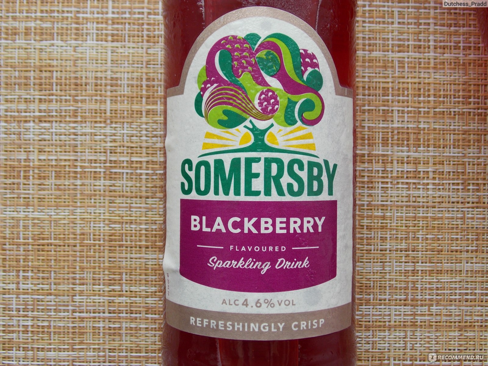 Пивной напиток Somersby Blackberry - «Летняя новинка, освежающий ягодный  Somersby Blackberry. Легкий сидр и его эффект, а также почему не могу  назвать его ежевичным» | отзывы