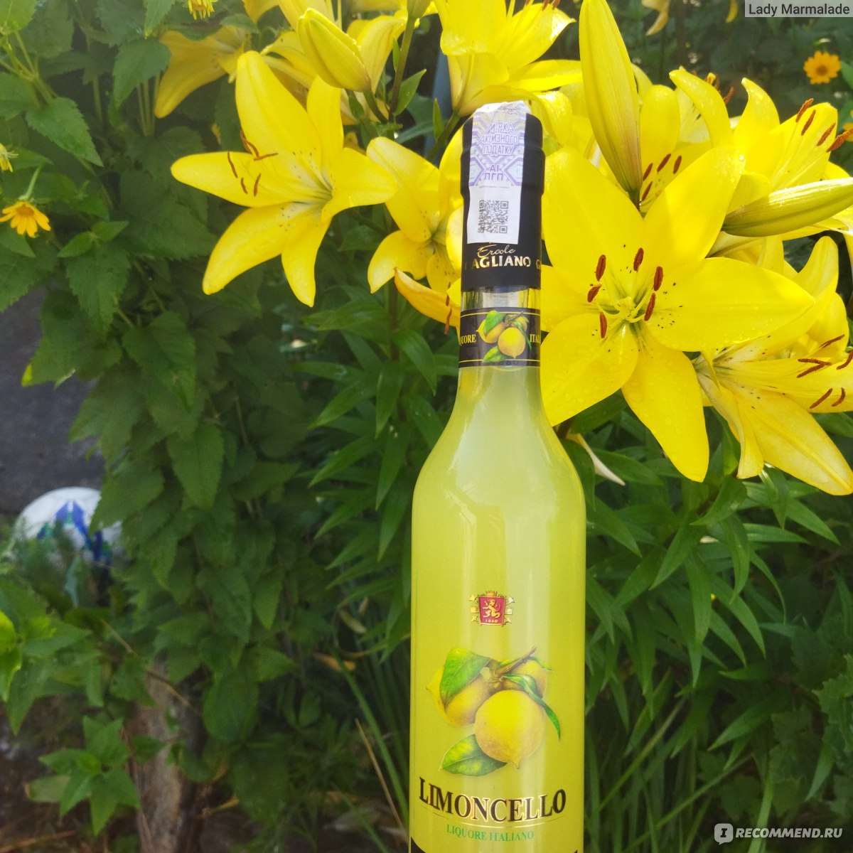 Ликер Limoncello - «Сначала не поняла, а потом как поняла... Но и потом не  испытала восхищения» | отзывы