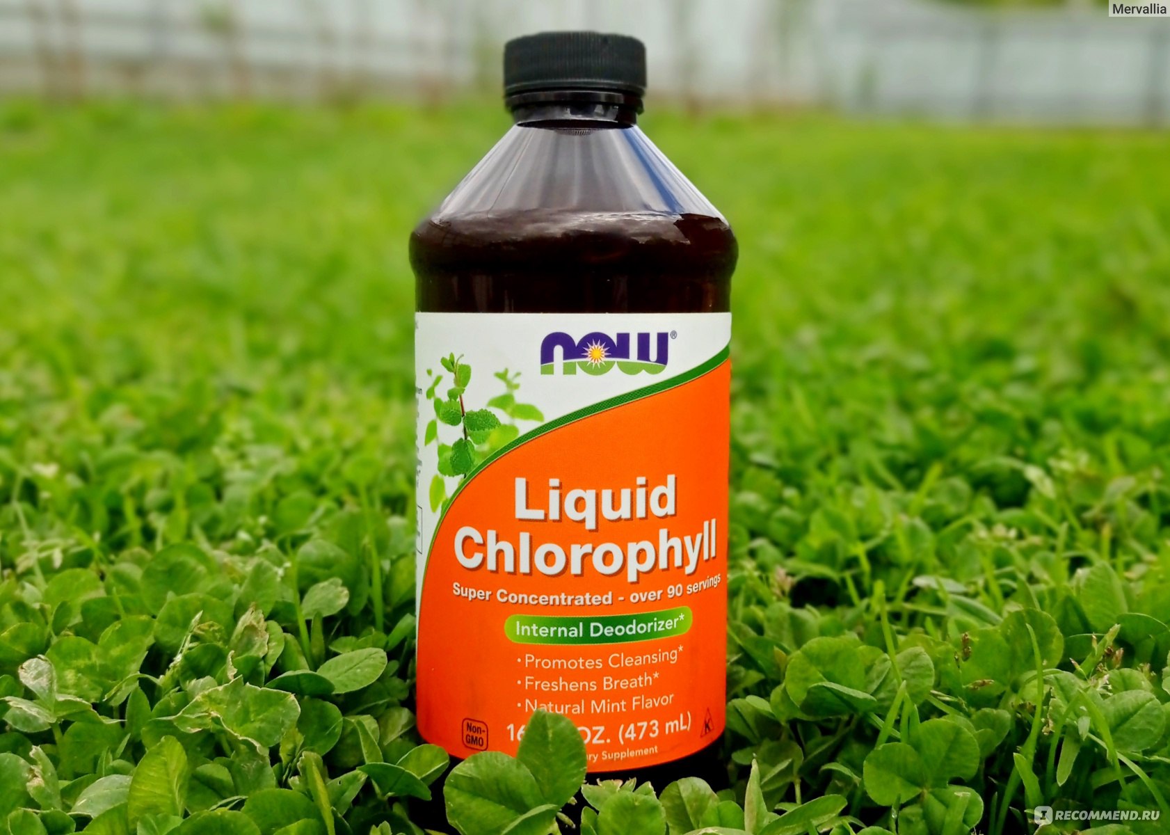 БАД Now Foods Liquid Chlorophyll, Triple Strength, Mint Flavor, Хлорофилл -  «Восстановил микрофлору кишечника, избавил от запаха пота, первый помощник  при простуде или вздутии. Мастхэв всей семьи.» | отзывы