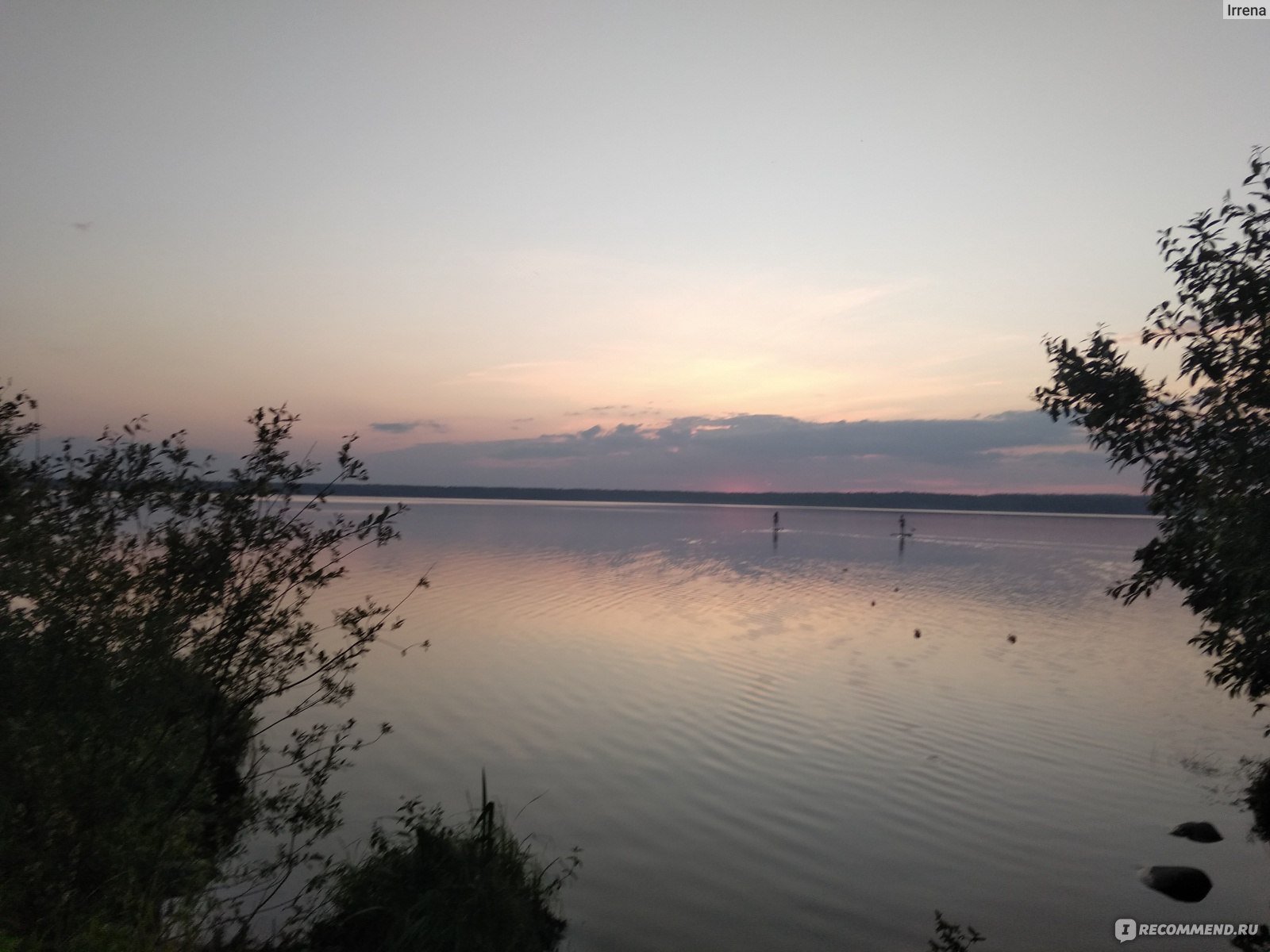 Заказник Щучье озеро Комарово рыбалка