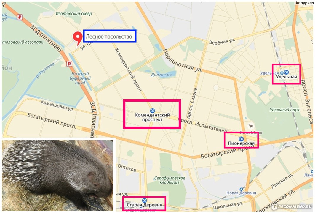 Карта санкт петербурга зоопарк - 90 фото