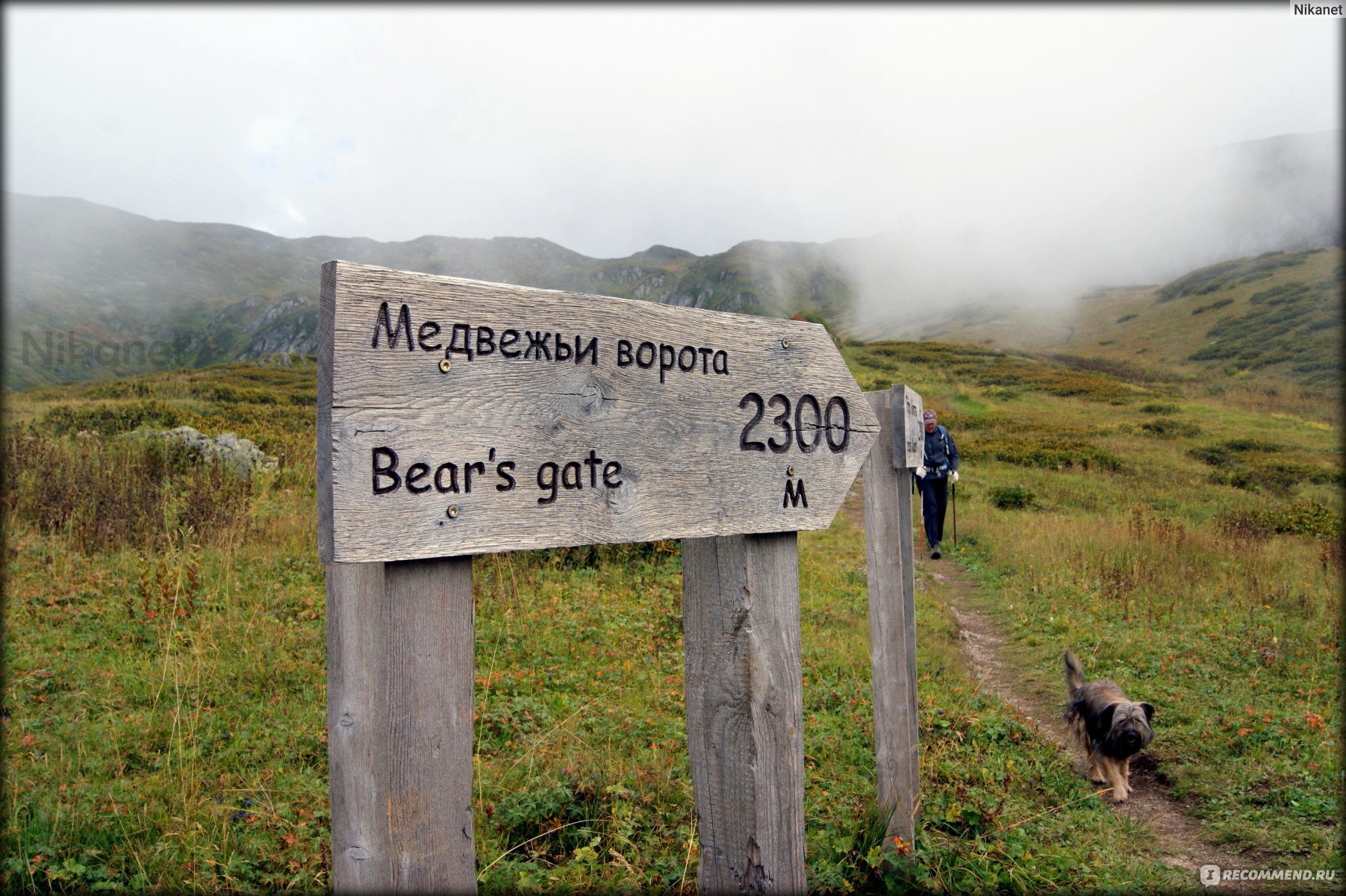 Медведь на бзерпинском карнизе