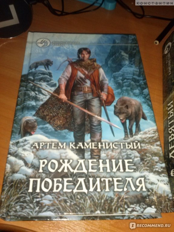 Каменистый девятый. Девятый Каменистый Артем книга. Адмирал южных морей Каменистый Артем. Каменистый Артем девятый Адмирал южных морей. Адмирал южных морей Артем Каменистый иллюстрации.