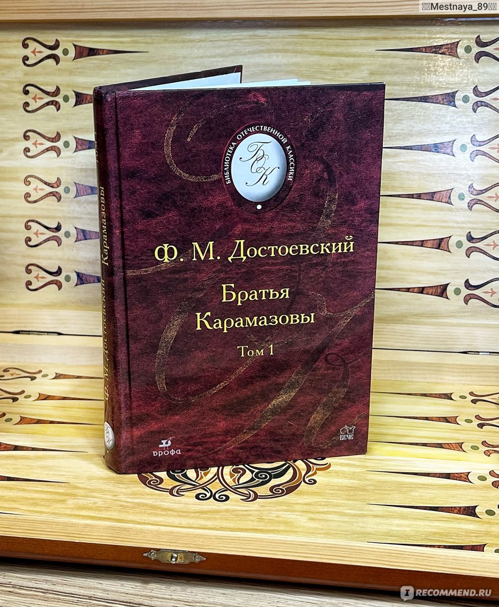 Братья Карамазовы, Ф.М.Достоевский - «Зачем в наше время читать 2 тома  больше тыщи страниц❓Коротко о шедевре мировой литературы.» | отзывы