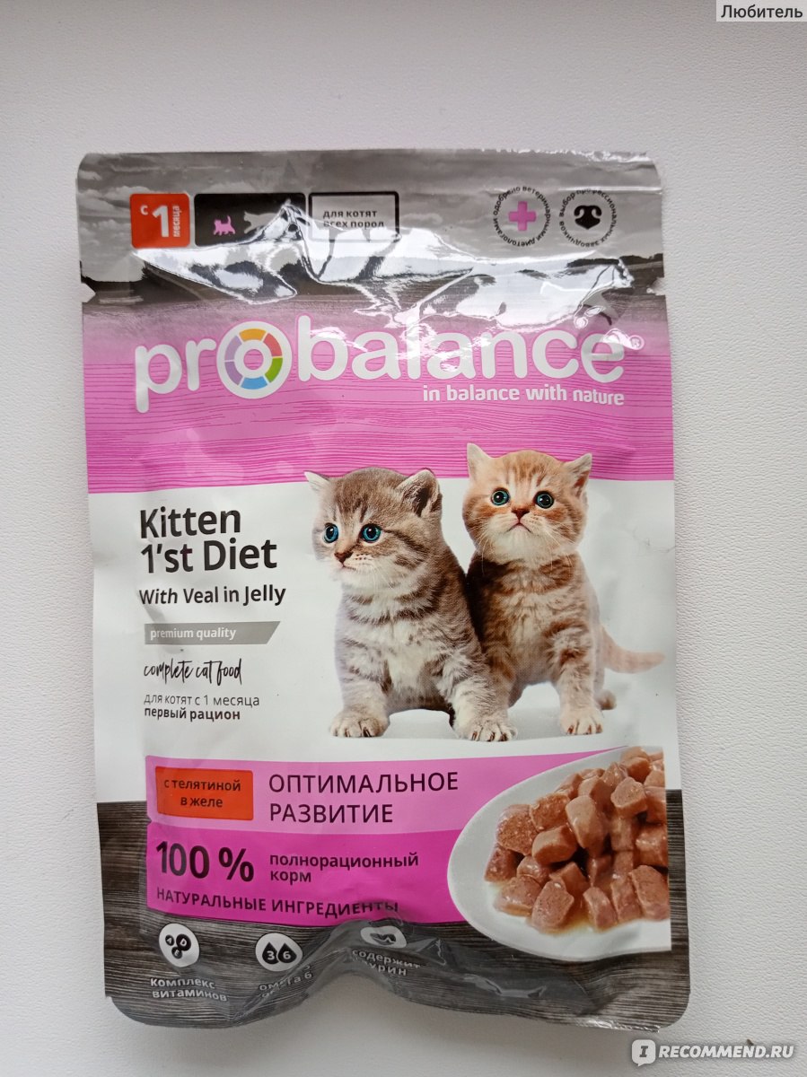 Влажный корм для котят Probalance Kitten 1st Diet с телятиной в желе -  «Хороший отечественный корм для самых маленьких😺 Имеет хороший понятный  состав и доступную цену» | отзывы