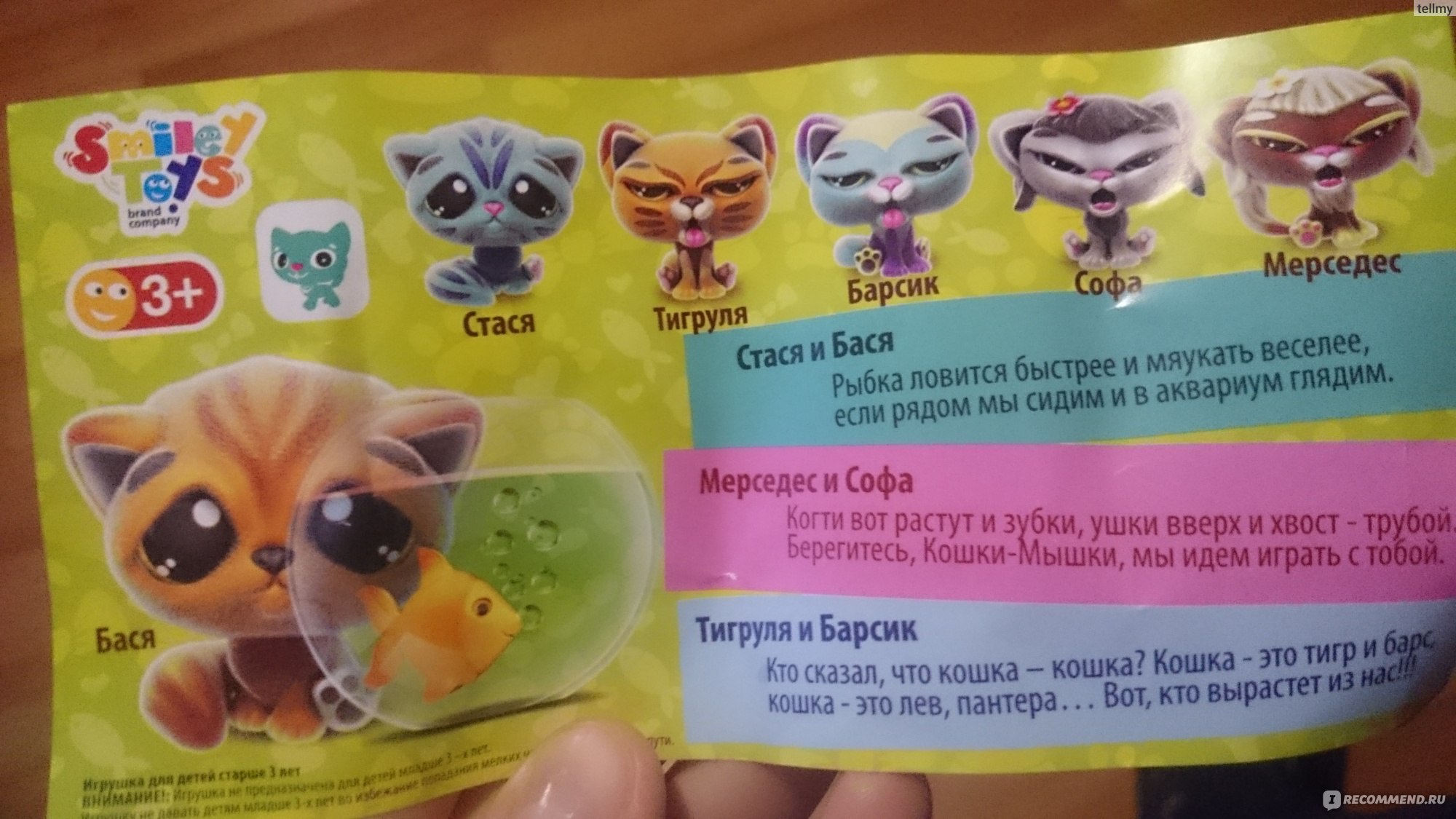 Цукаты Vitamin Toys Милый котёнок и сладости. Про котят. Выбери котенка. -  «Наконец-то не химическая сладость, а натуральная! И игрушка очень милая. »  | отзывы