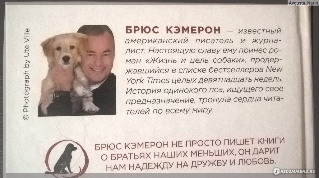 Брюс кэмерон. Жизнь и цель собаки Брюс Кэмерон книга. Брюс Кэмерон собачья жизнь. Брюс Кэмерон фото.