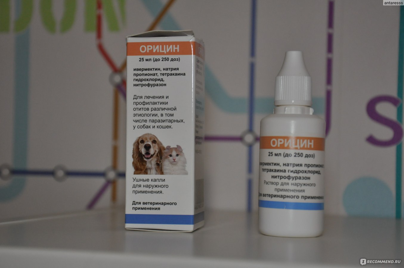 Ушные капли Euracon PHarma Орицин - «Орицин - эффективный препарат для  лечения ушного клеща у кошек. Схема лечения и фото мохнатого пациента.» |  отзывы