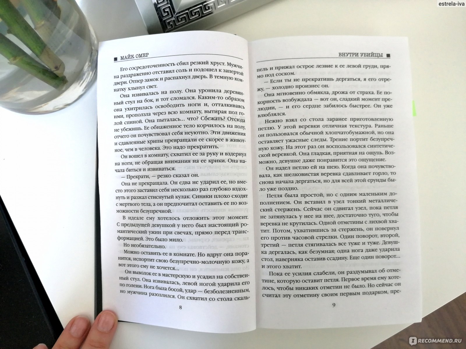 Майк омер намерения. Внутри убийцы оглавление. Сколько глав в книге внутри убийцы. Дом страха Майк Омер. Внутри убийцы книга сколько страниц.