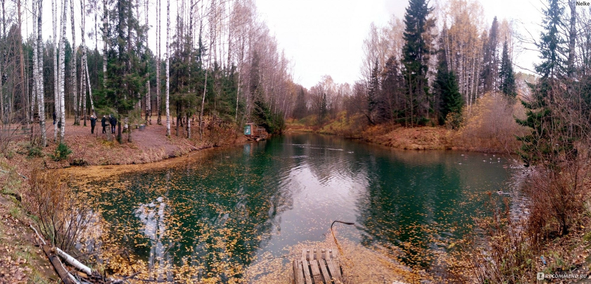 Дендрологический парк лесоводов Кировской области, Киров - «Парк для долгих прогулок. Вид в середине осени.»